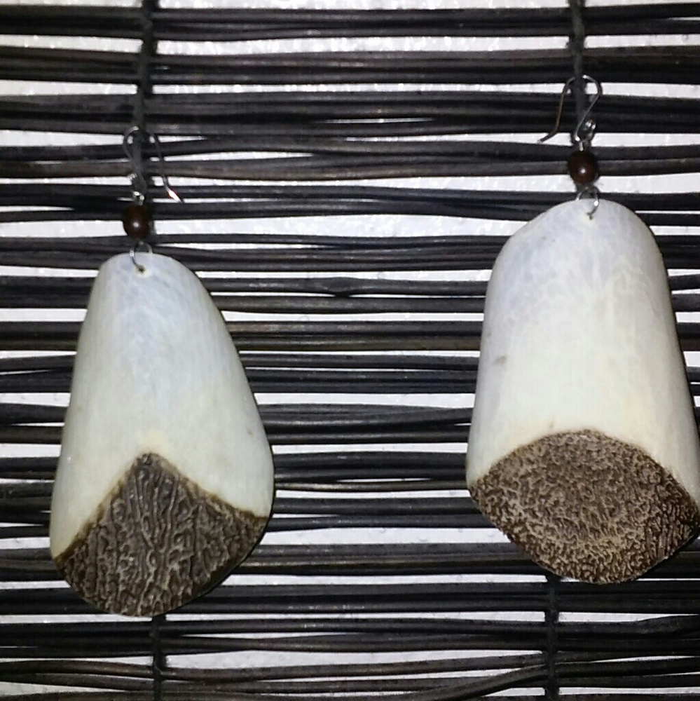 Capiz Shell Earrings (unique)